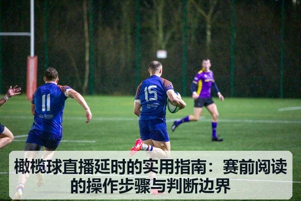 橄榄球直播延时的实用指南：赛前阅读的操作步骤与判断边界 - leyu